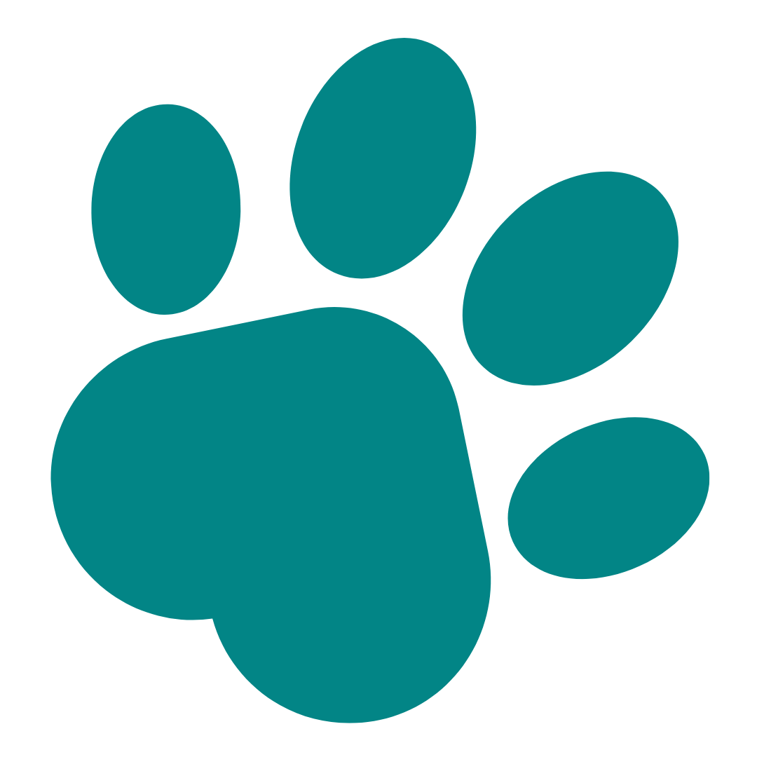 Willis Cooper Chartered Accountants logo