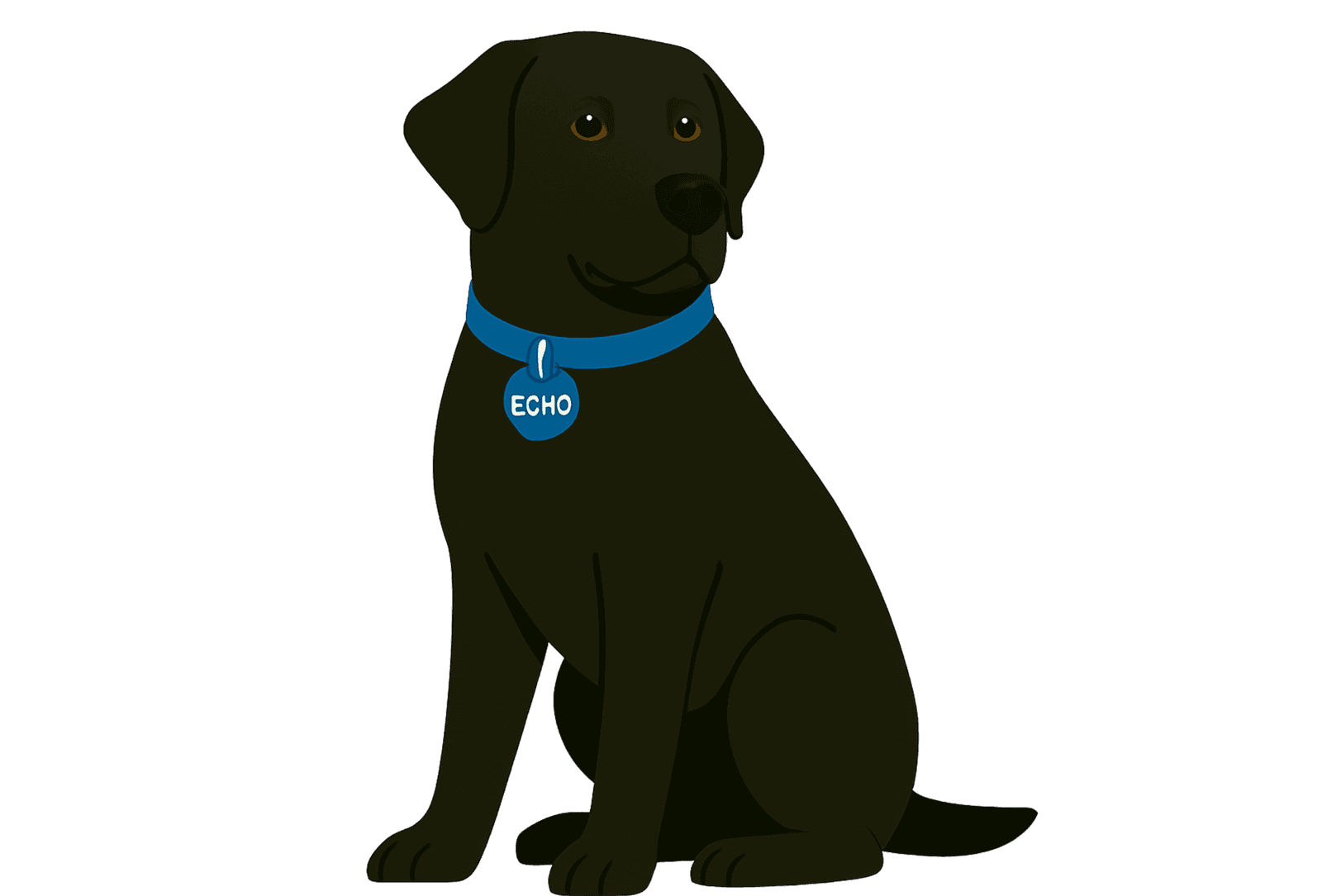 Willis Cooper office dog